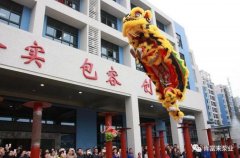醒狮贺岁，半岛网站web版登录入口-半岛online(中国)2019年开工大吉